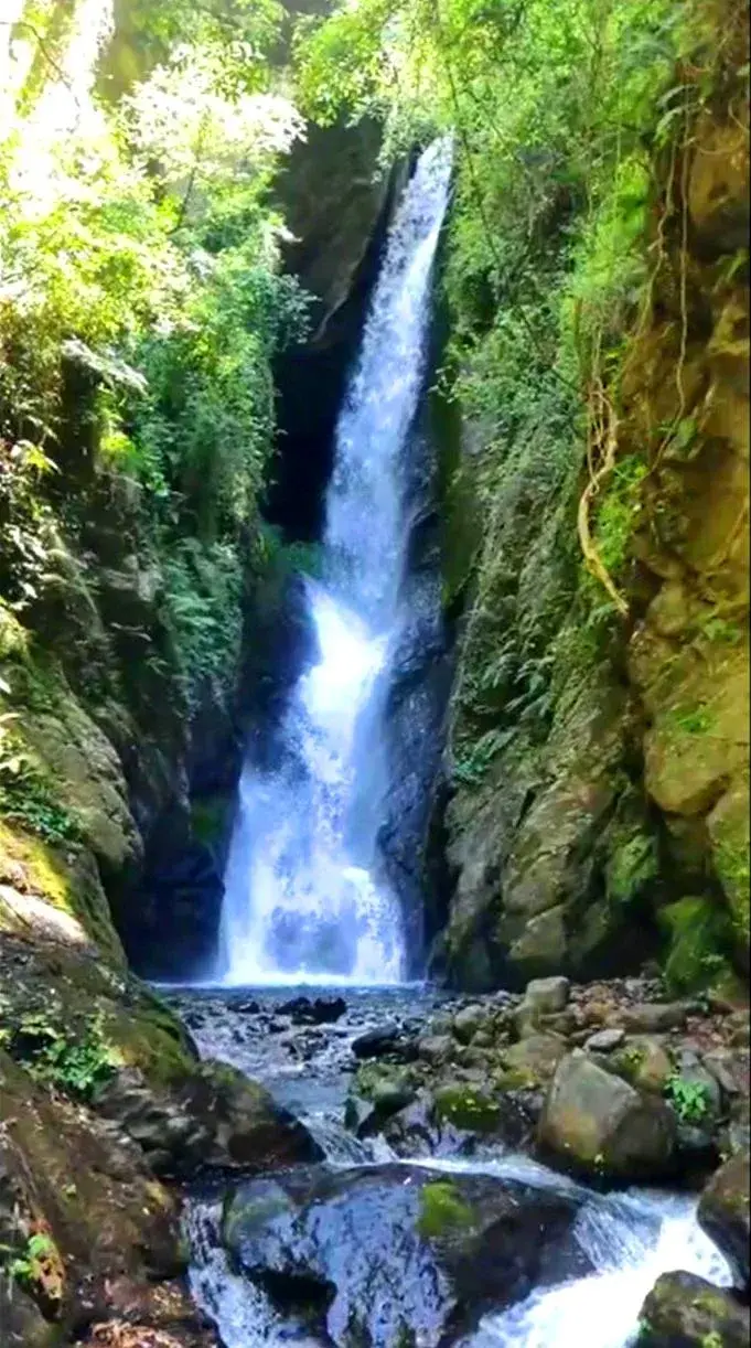 Banghodu waterfall in its mossy gorge above Bir