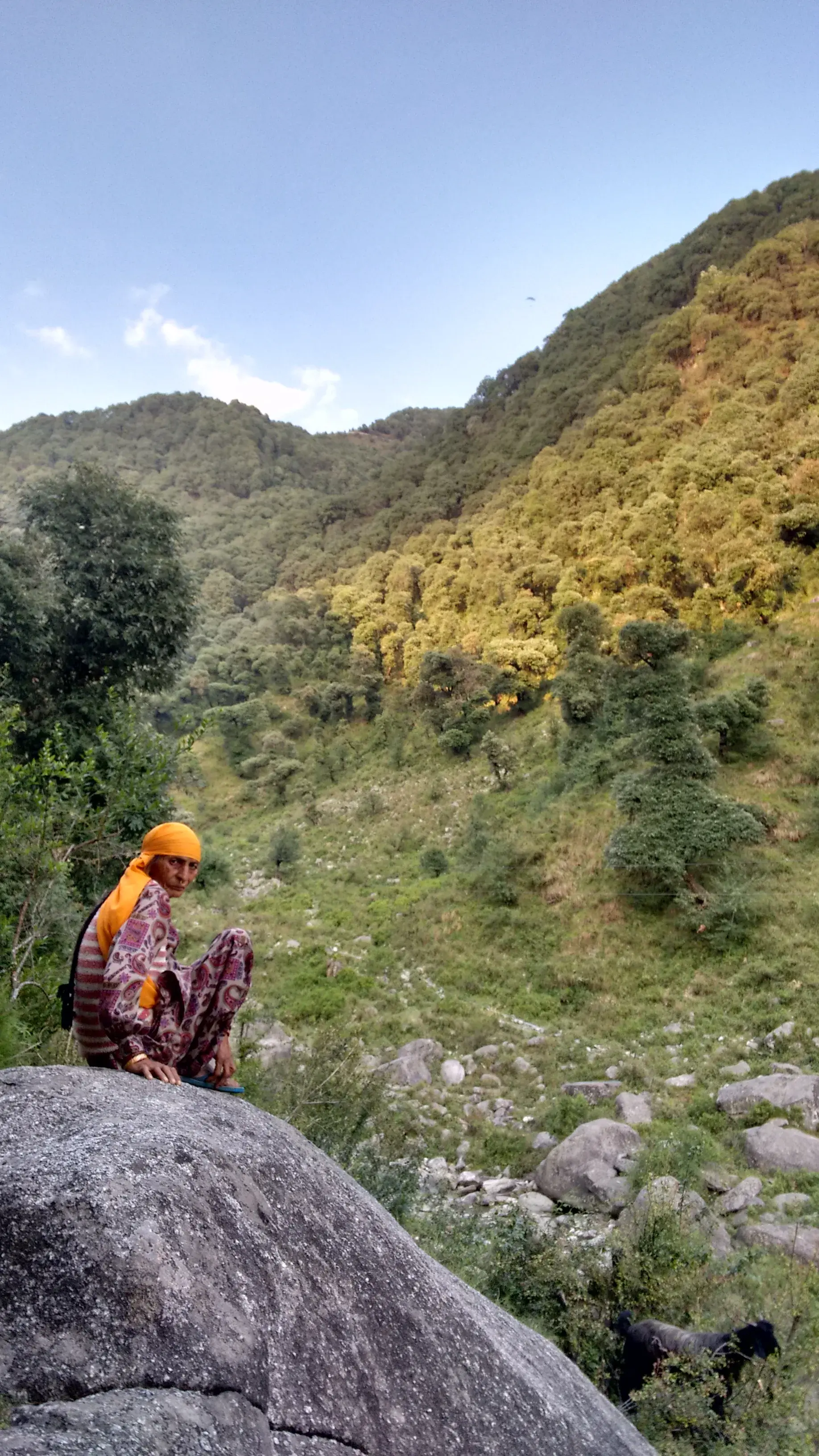 The forested trail climbing out of Bir toward Billing