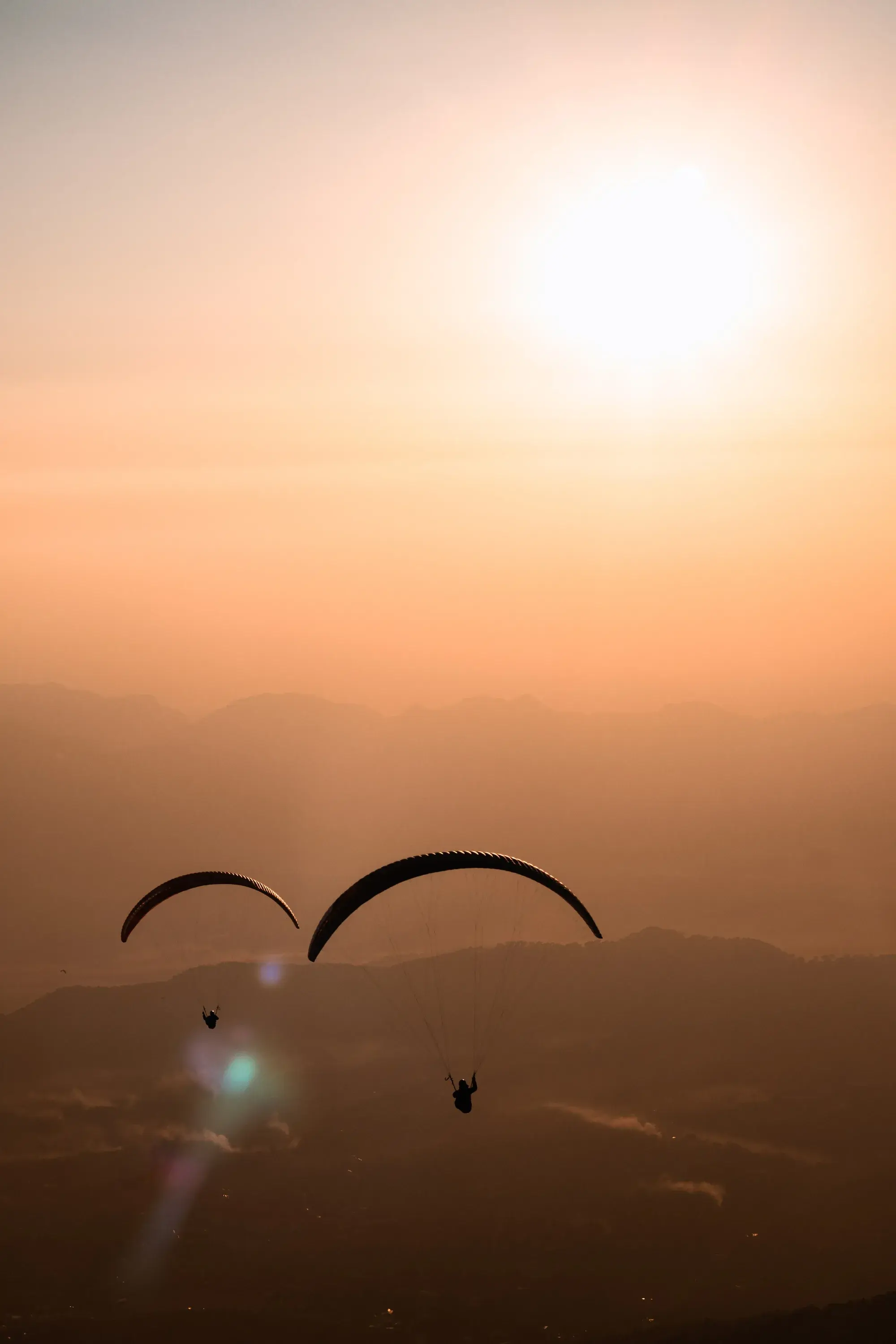 The last wings against an orange sky over Bir