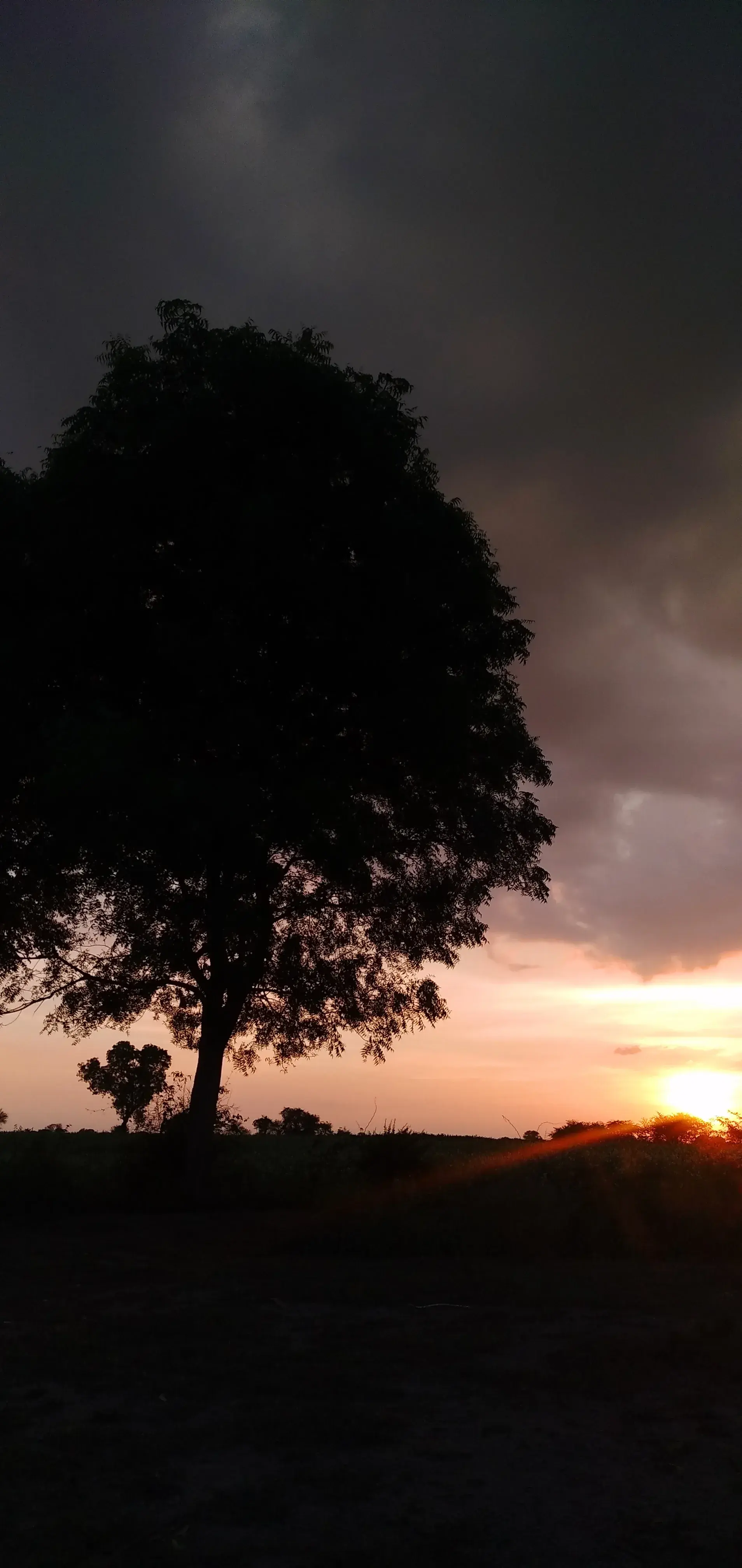 A village sunset from the top